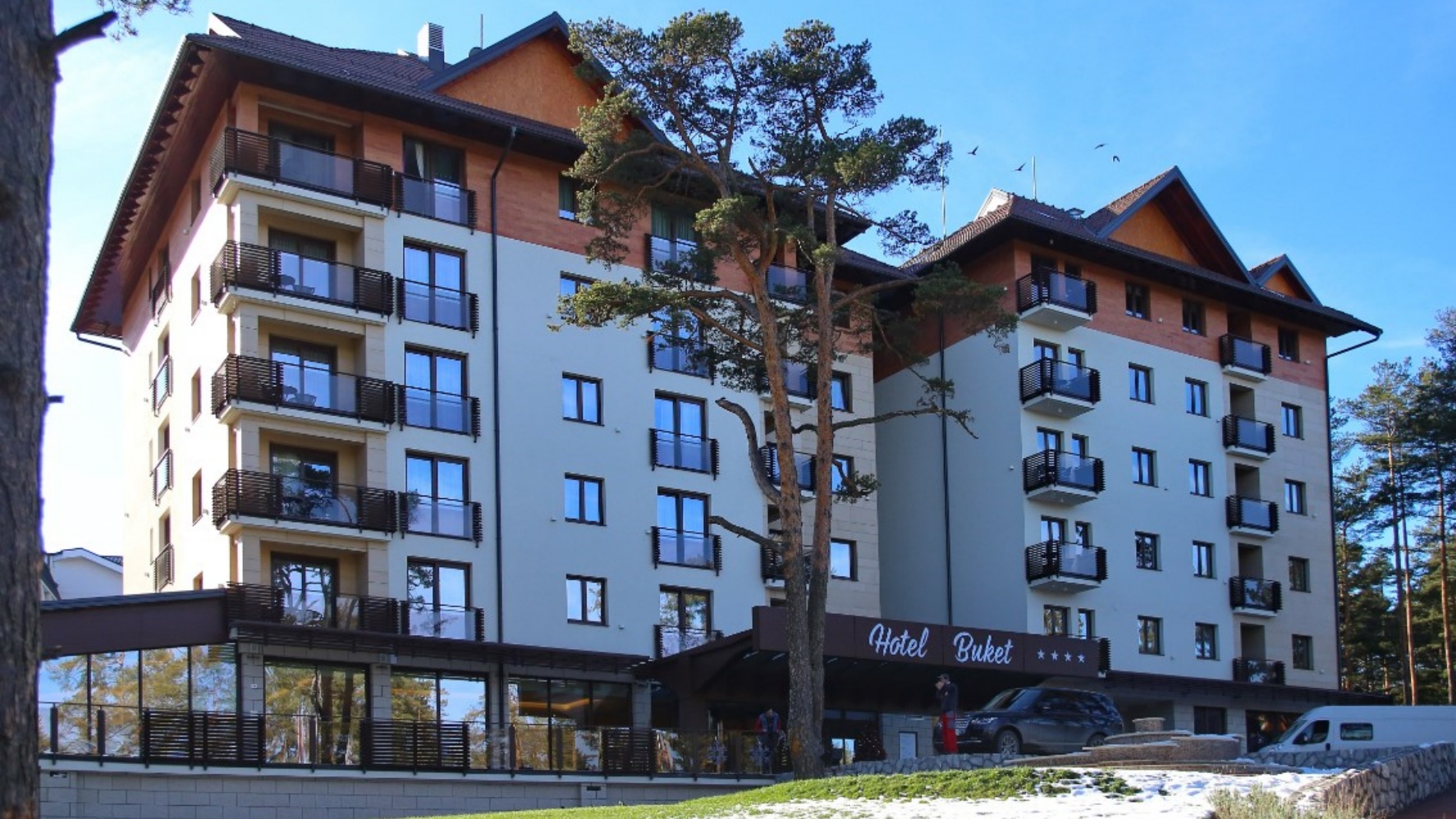 الصورة التالية