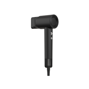 فندق شعار مخصص تكنولوجيا أيون مجفف شعر هادئ سعر الجملة